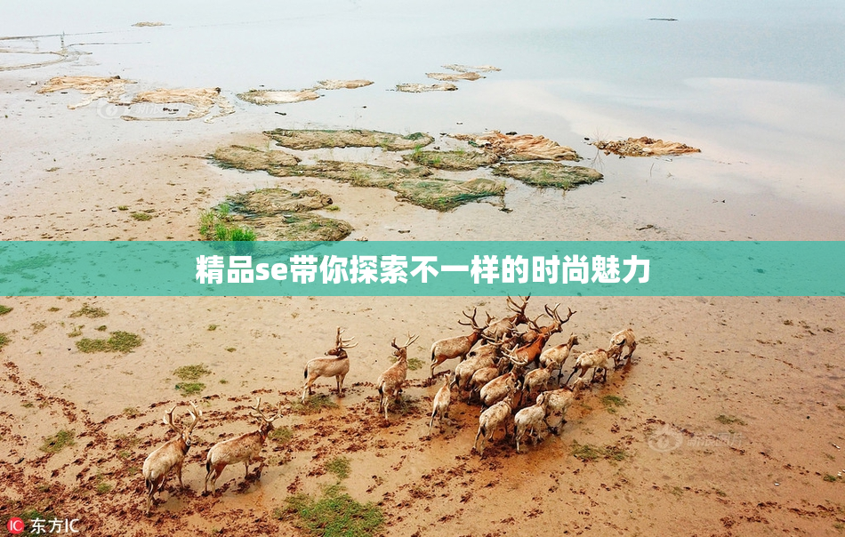 精品se带你探索不一样的时尚魅力
