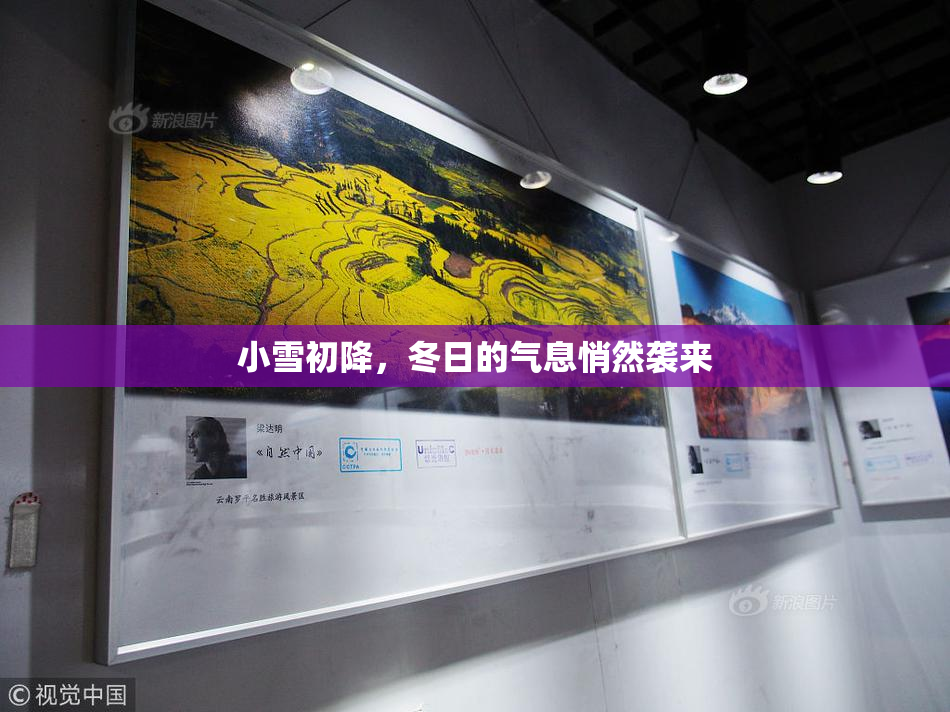 小雪初降，冬日的气息悄然袭来
