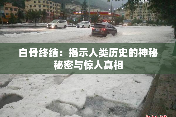白骨终结：揭示人类历史的神秘秘密与惊人真相