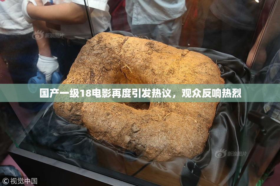 国产一级18电影再度引发热议，观众反响热烈