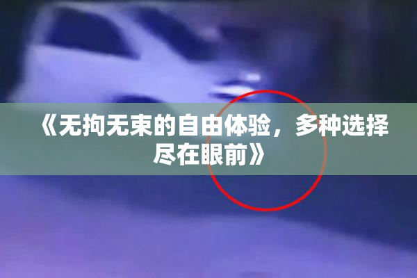 《无拘无束的自由体验，多种选择尽在眼前》