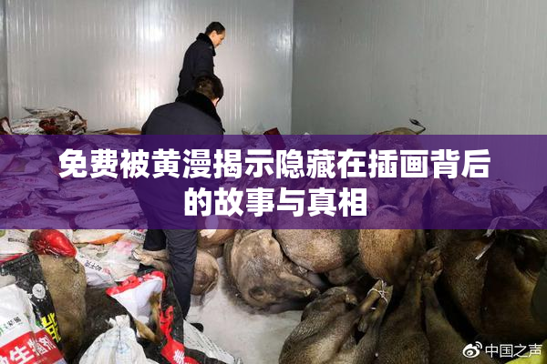 免费被黄漫揭示隐藏在插画背后的故事与真相