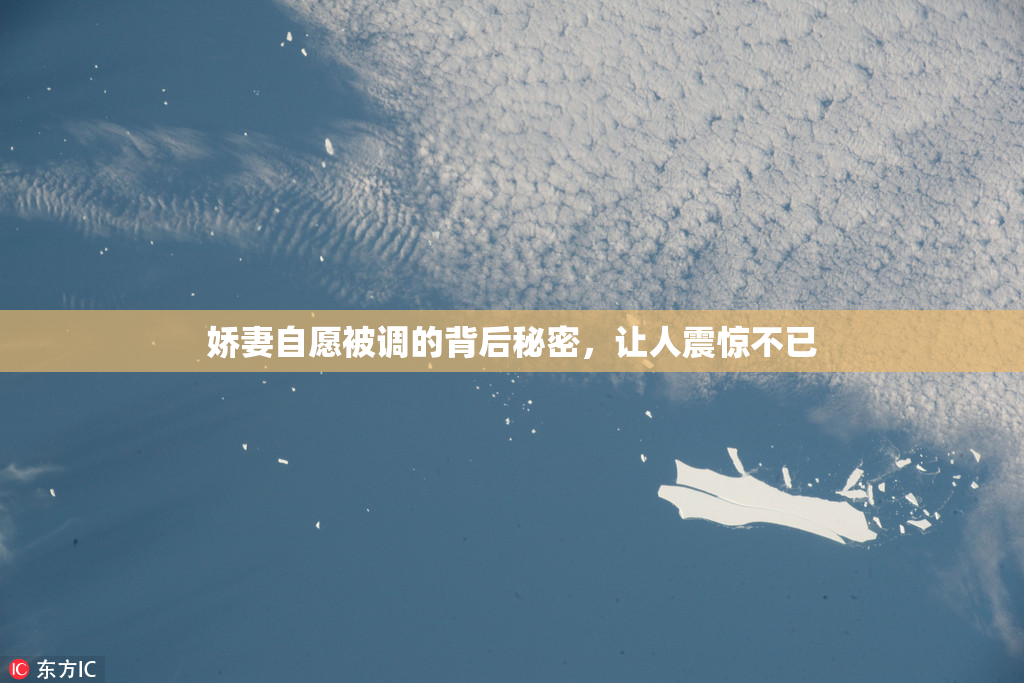 娇妻自愿被调的背后秘密，让人震惊不已