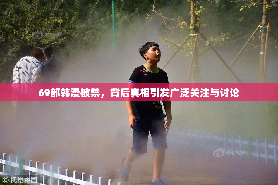 69部韩漫被禁，背后真相引发广泛关注与讨论