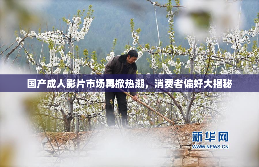 国产成人影片市场再掀热潮，消费者偏好大揭秘