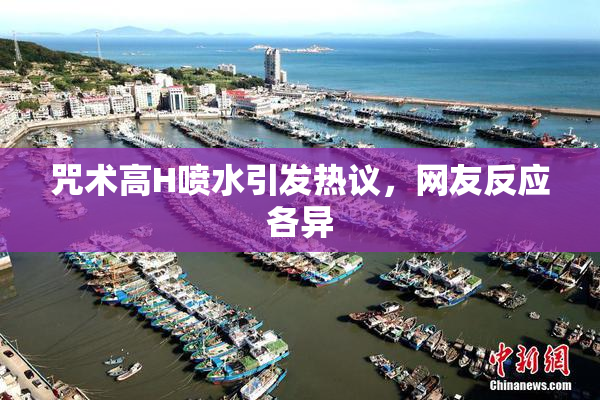 咒术高H喷水引发热议，网友反应各异