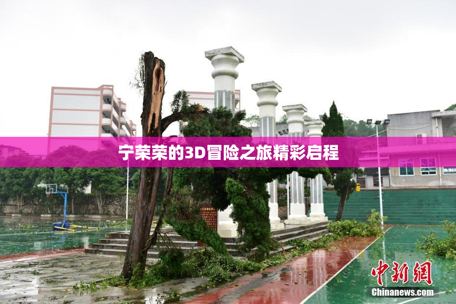 宁荣荣的3D冒险之旅精彩启程