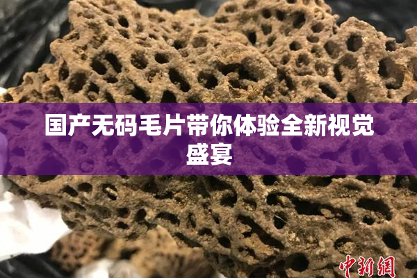 国产无码毛片带你体验全新视觉盛宴