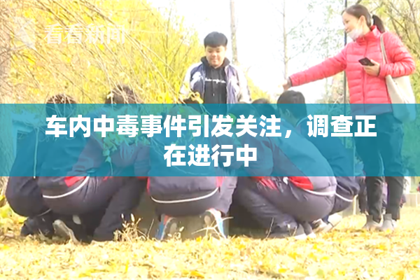 车内中毒事件引发关注，调查正在进行中