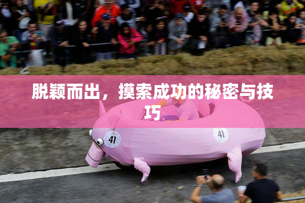 脱颖而出，摸索成功的秘密与技巧