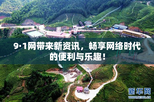 9·1网带来新资讯，畅享网络时代的便利与乐趣！