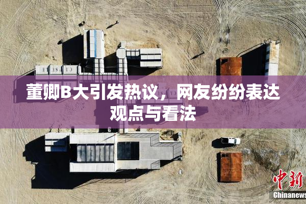 董卿B大引发热议，网友纷纷表达观点与看法