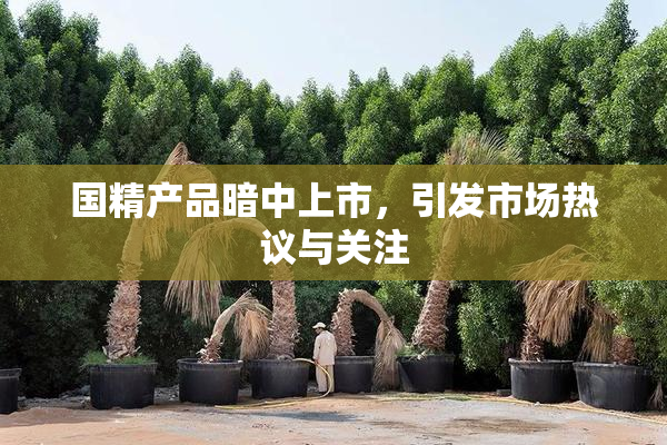 国精产品暗中上市，引发市场热议与关注