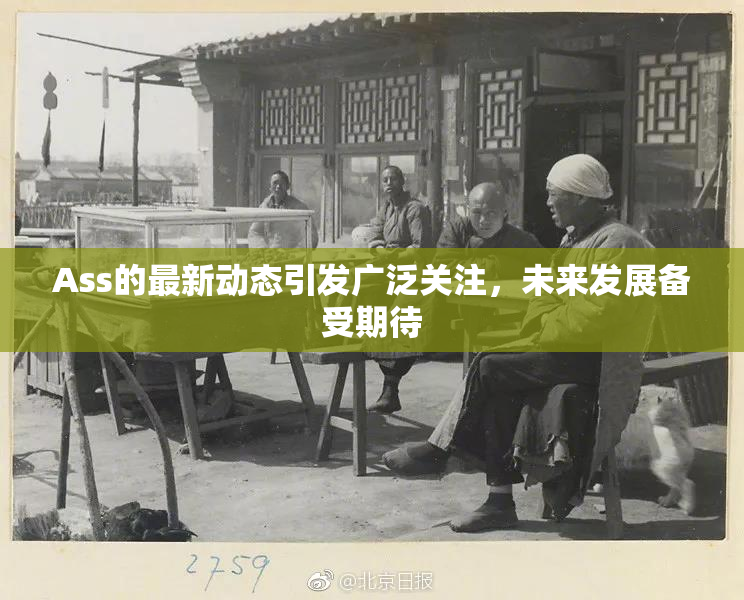Ass的最新动态引发广泛关注，未来发展备受期待