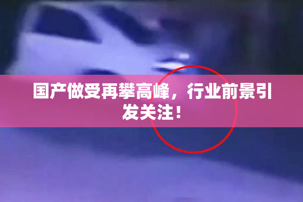 国产做受再攀高峰，行业前景引发关注！