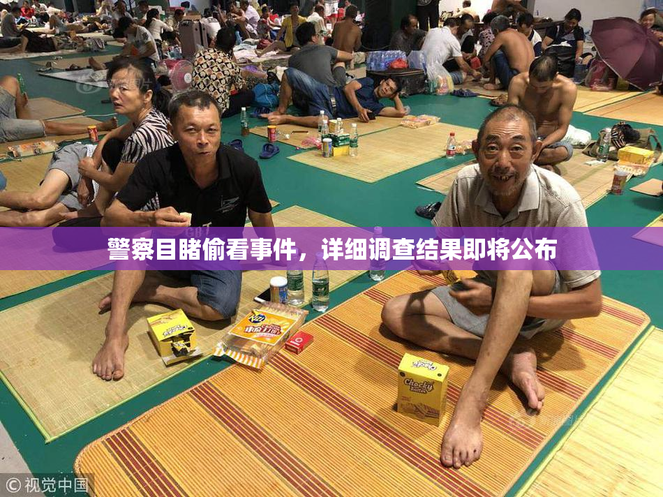 警察目睹偷看事件，详细调查结果即将公布