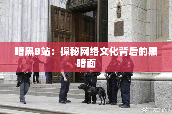 暗黑B站：探秘网络文化背后的黑暗面