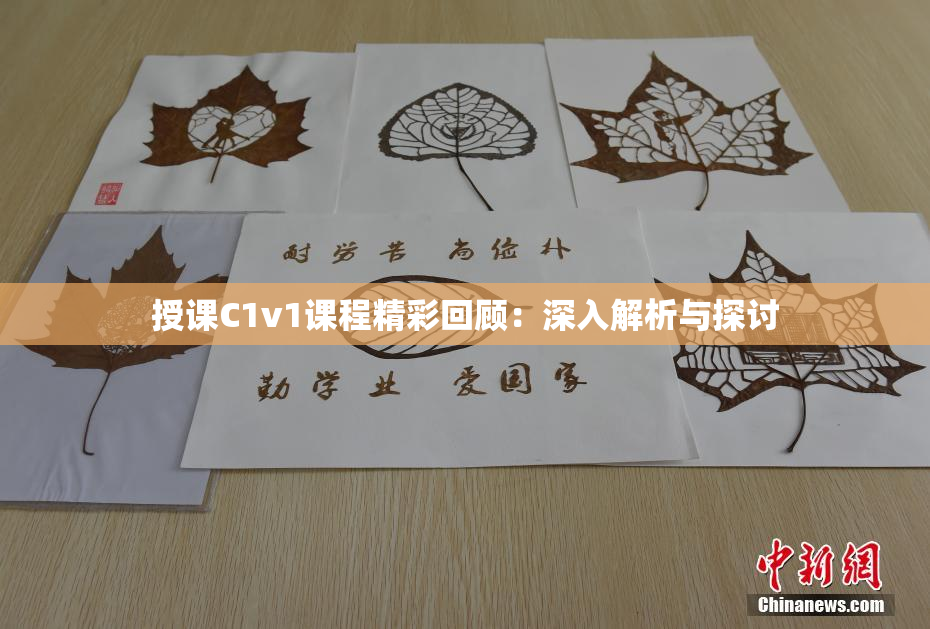 授课C1v1课程精彩回顾：深入解析与探讨