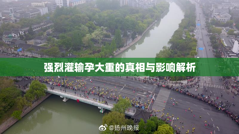 强烈灌输孕大重的真相与影响解析