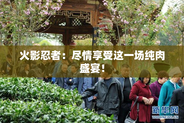 火影忍者：尽情享受这一场纯肉盛宴！