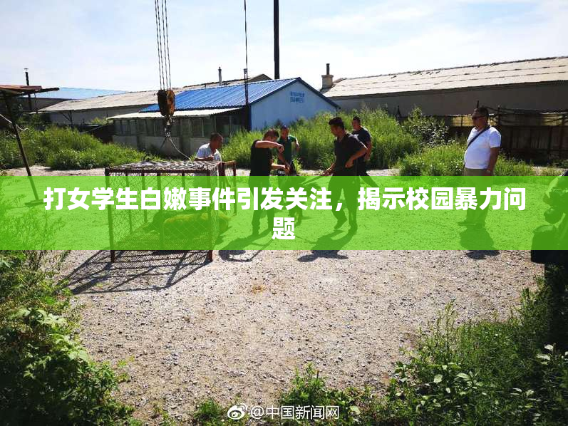 打女学生白嫩事件引发关注，揭示校园暴力问题