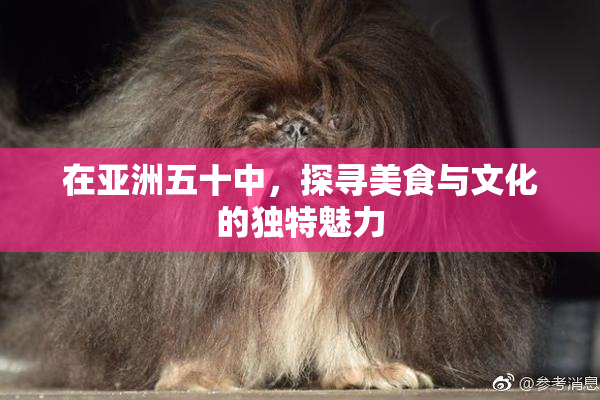 在亚洲五十中，探寻美食与文化的独特魅力