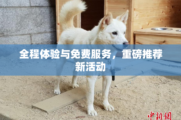 全程体验与免费服务，重磅推荐新活动