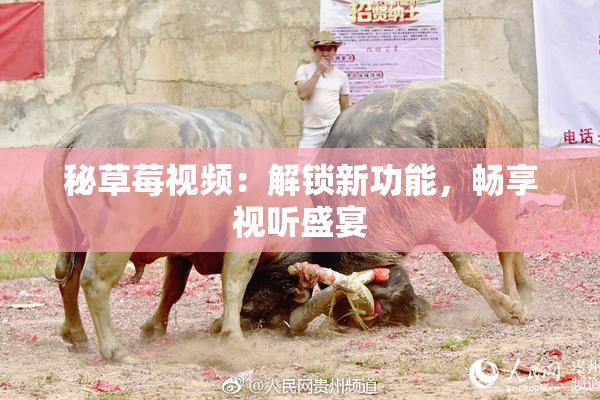 秘草莓视频：解锁新功能，畅享视听盛宴