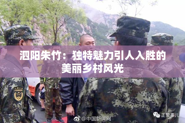 泗阳朱竹：独特魅力引人入胜的美丽乡村风光