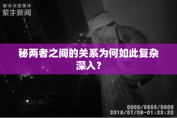 秘两者之间的关系为何如此复杂深入？
