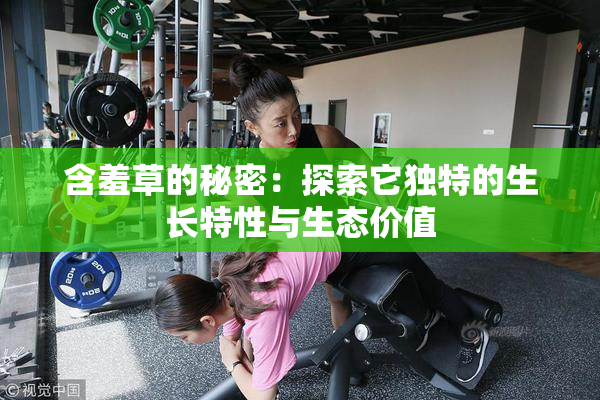 含羞草的秘密：探索它独特的生长特性与生态价值