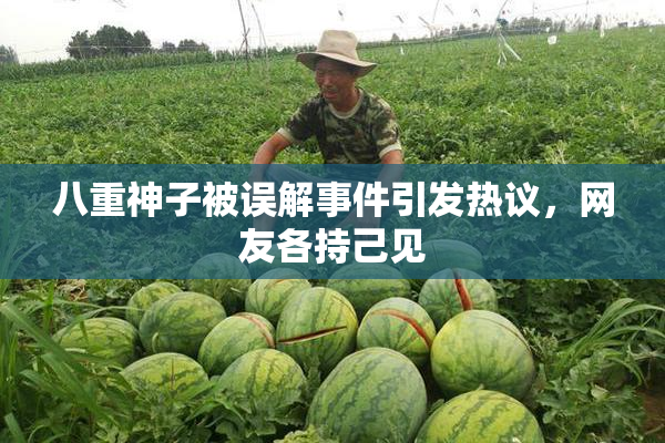 八重神子被误解事件引发热议，网友各持己见