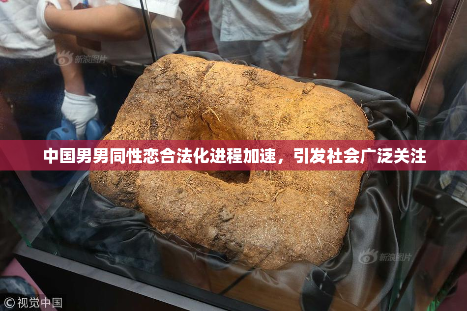 中国男男同性恋合法化进程加速，引发社会广泛关注