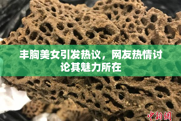 丰胸美女引发热议，网友热情讨论其魅力所在
