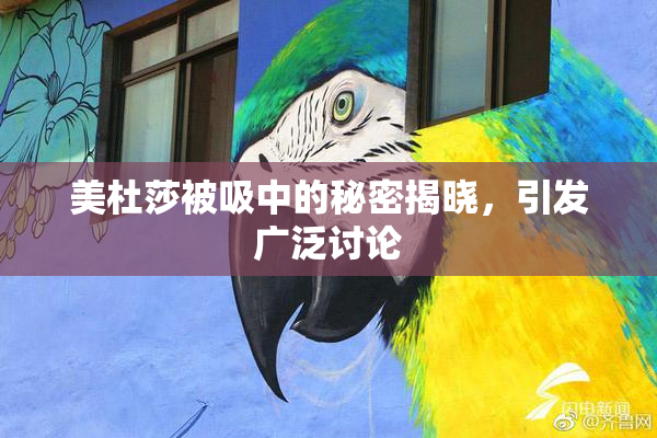 美杜莎被吸中的秘密揭晓，引发广泛讨论