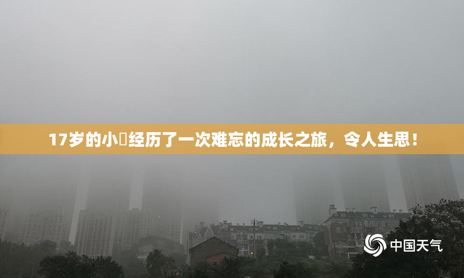 17岁的小泬经历了一次难忘的成长之旅，令人生思！