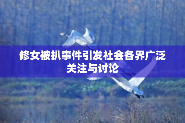 修女被扒事件引发社会各界广泛关注与讨论