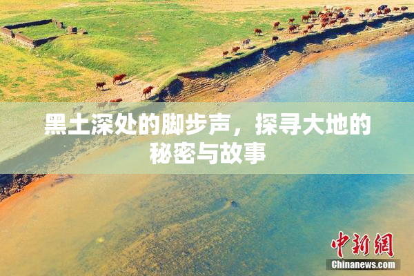 黑土深处的脚步声，探寻大地的秘密与故事