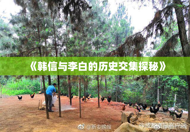 《韩信与李白的历史交集探秘》
