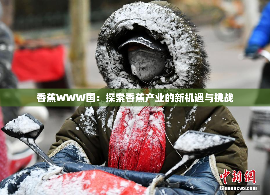 香蕉WWW国：探索香蕉产业的新机遇与挑战