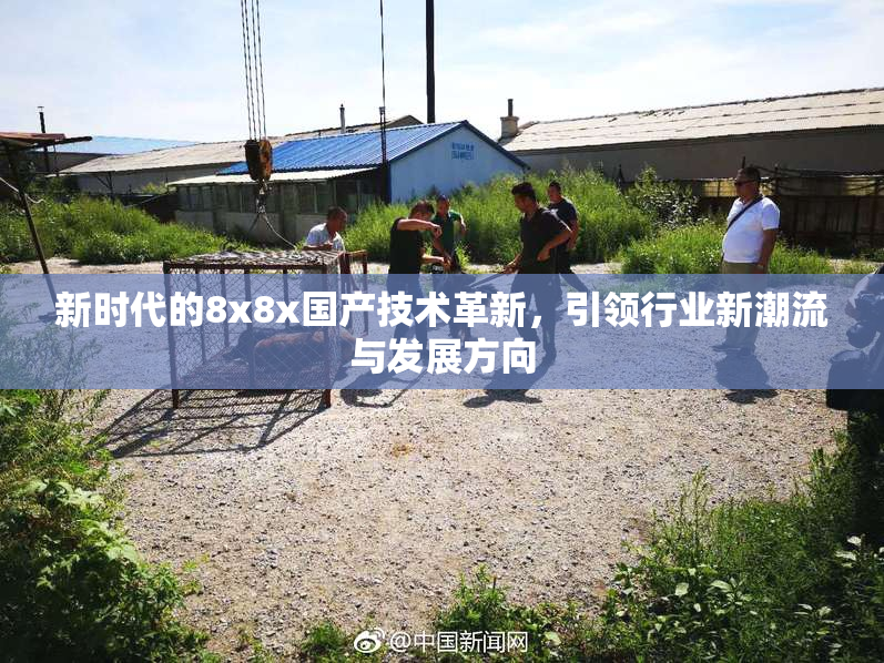 新时代的8x8x国产技术革新，引领行业新潮流与发展方向