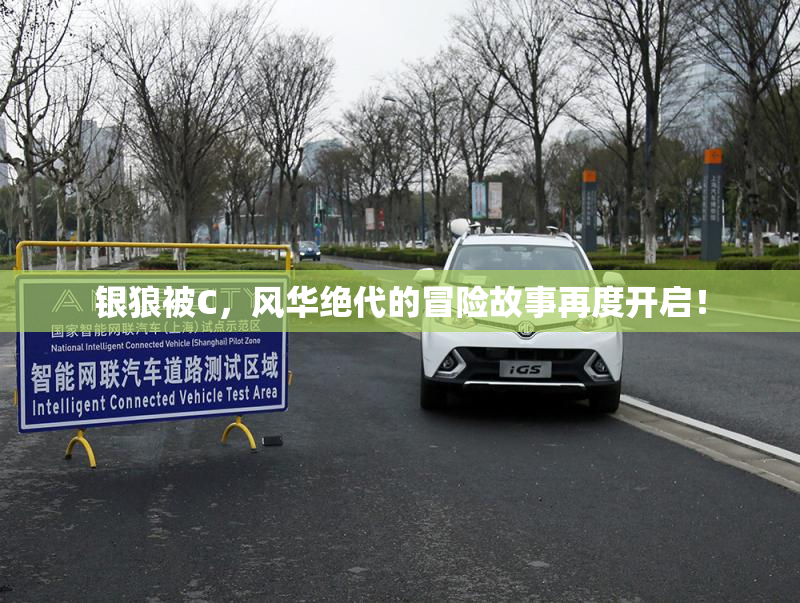 银狼被C，风华绝代的冒险故事再度开启！