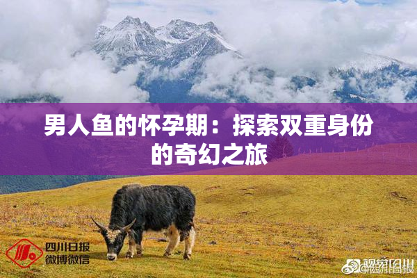 男人鱼的怀孕期：探索双重身份的奇幻之旅