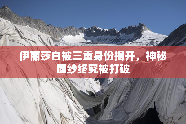 伊丽莎白被三重身份揭开，神秘面纱终究被打破