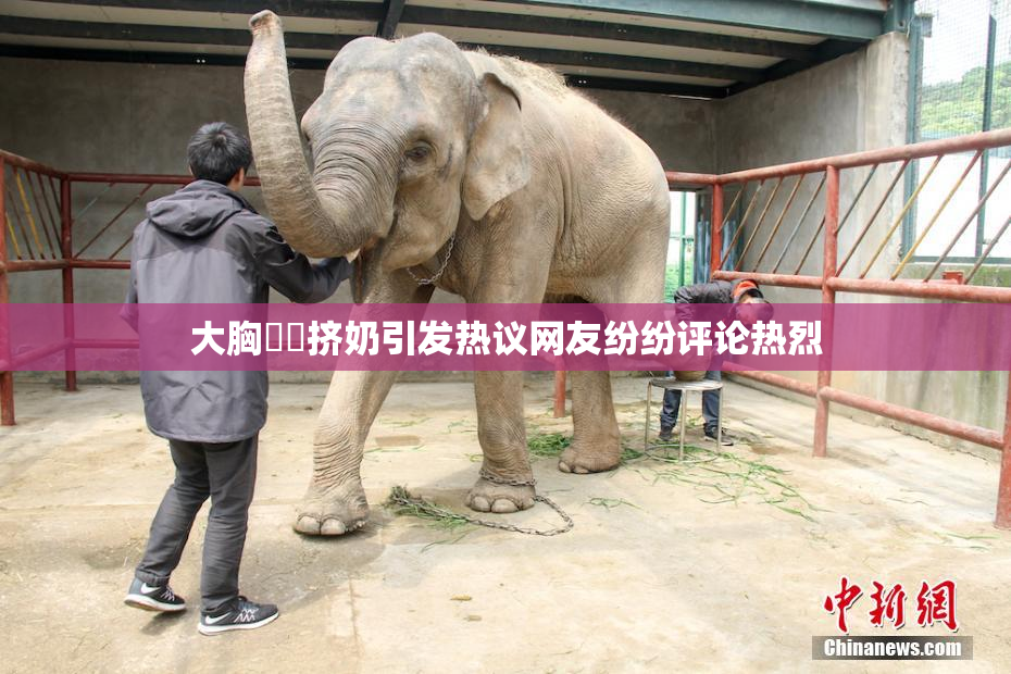 大胸❌‌挤奶引发热议网友纷纷评论热烈