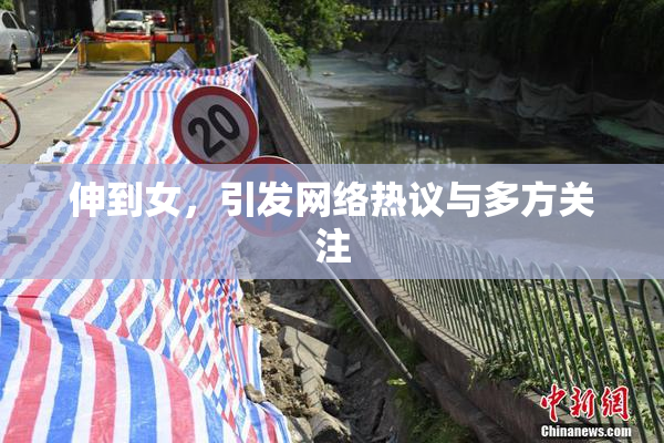 伸到女，引发网络热议与多方关注