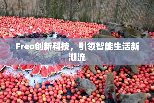 Freo创新科技，引领智能生活新潮流