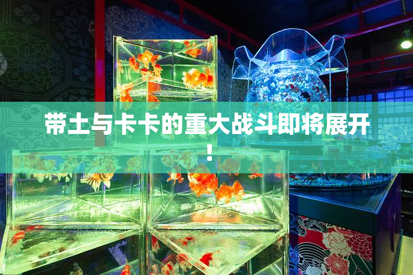 带土与卡卡的重大战斗即将展开！