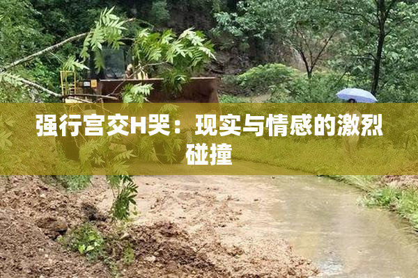 强行宫交H哭：现实与情感的激烈碰撞