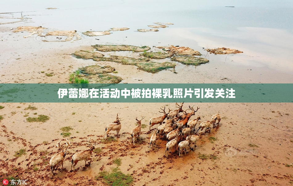 伊蕾娜在活动中被拍裸乳照片引发关注